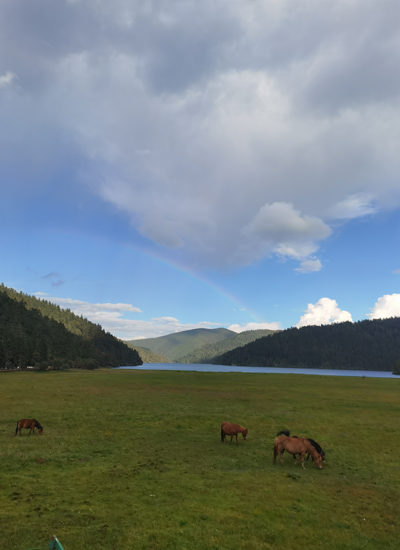 普达措5.jpg 普达措5.jpg