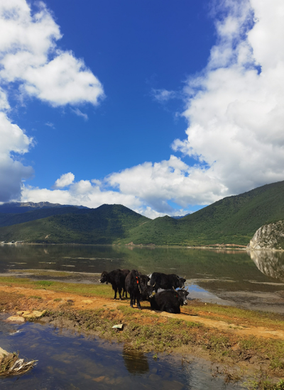 纳帕海2.jpg 纳帕海2.jpg